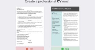 Contoh Cv Tanpa Pengalaman Kerja 2025