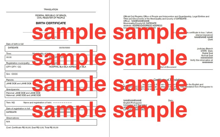 Contoh Akta Kelahiran Pdf