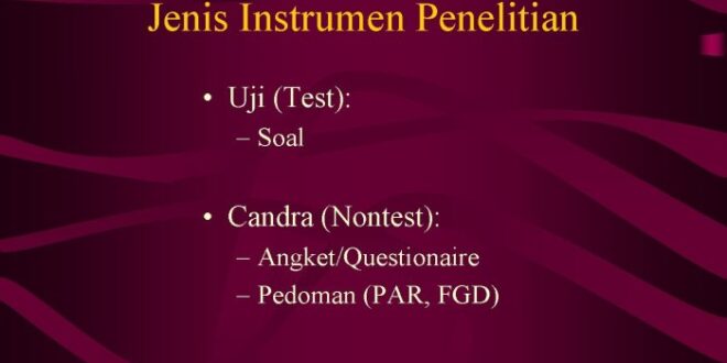 Contoh Instrumen Wawancara Untuk Siswa