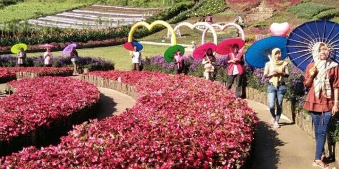 Koperasi Simpan Pinjam Terdekat Purbalingga