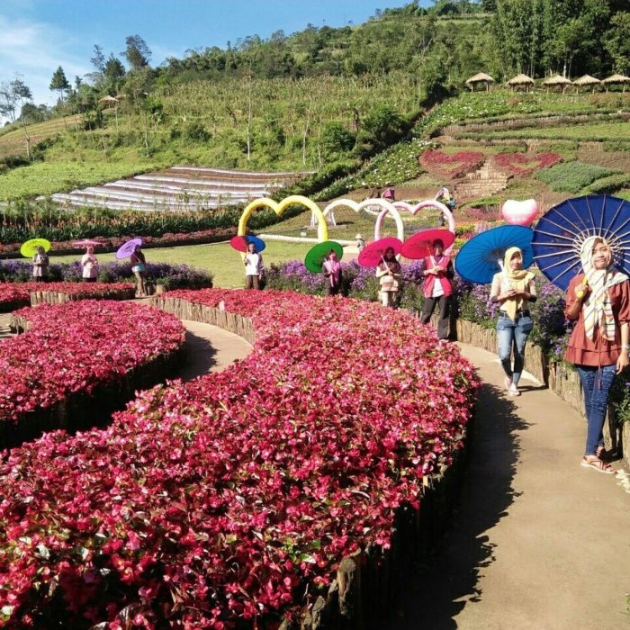 Koperasi Simpan Pinjam Terdekat Purbalingga