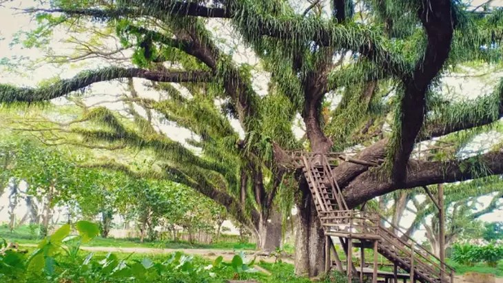 Koperasi Simpan Pinjam Terdekat Banyuwangi