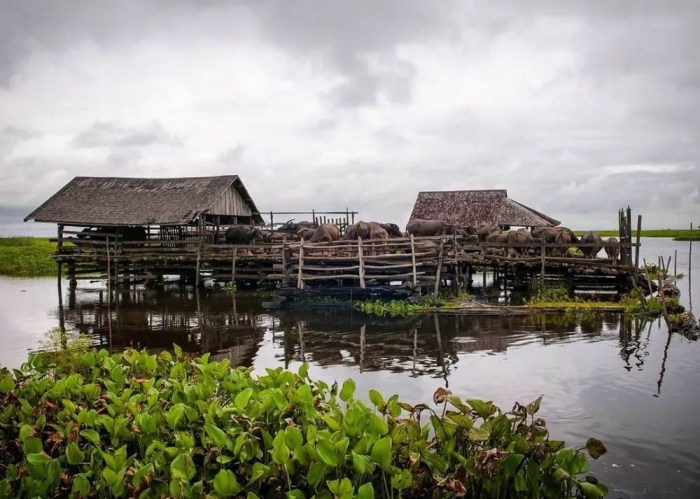 Koperasi Simpan Pinjam Terdekat Hulu Sungai Selatan