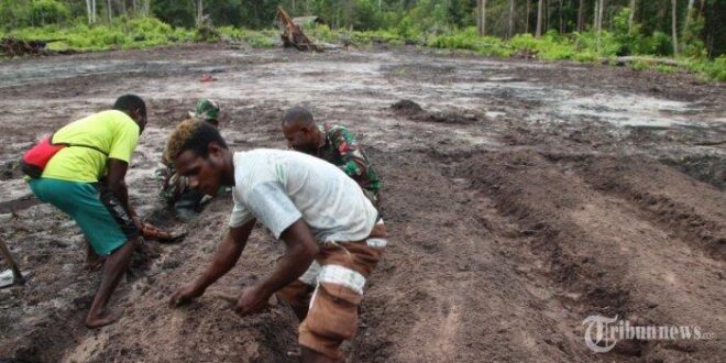 Koperasi Simpan Pinjam Terdekat Mappi