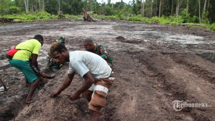 Koperasi Simpan Pinjam Terdekat Mappi