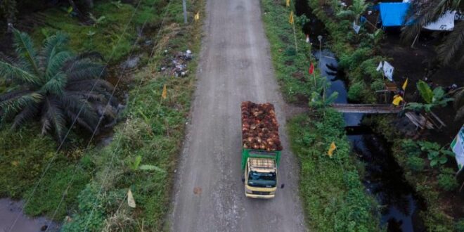 Koperasi Simpan Pinjam Terdekat Pasaman
