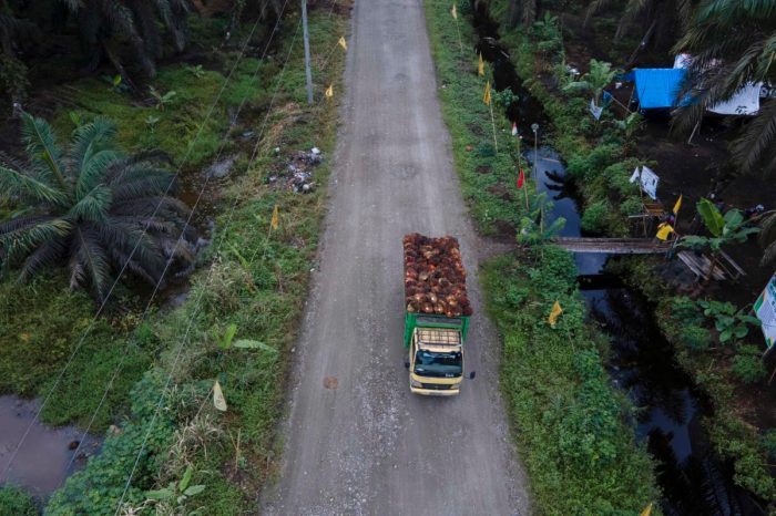 Koperasi Simpan Pinjam Terdekat Pasaman