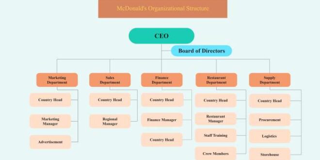 Contoh Struktur Organisasi Divisional
