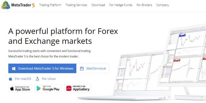 Forex Metatrader 5 2025