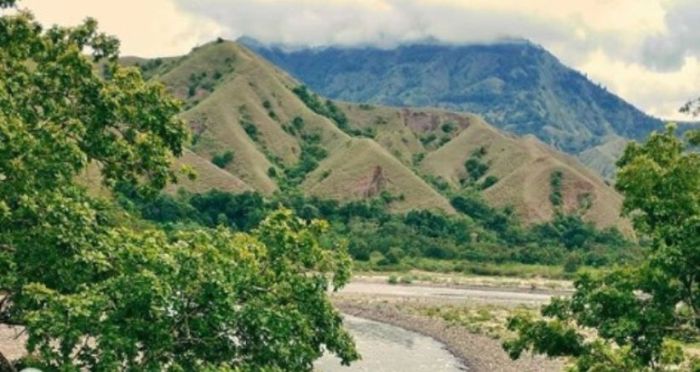 Koperasi Simpan Pinjam Terdekat Morowali