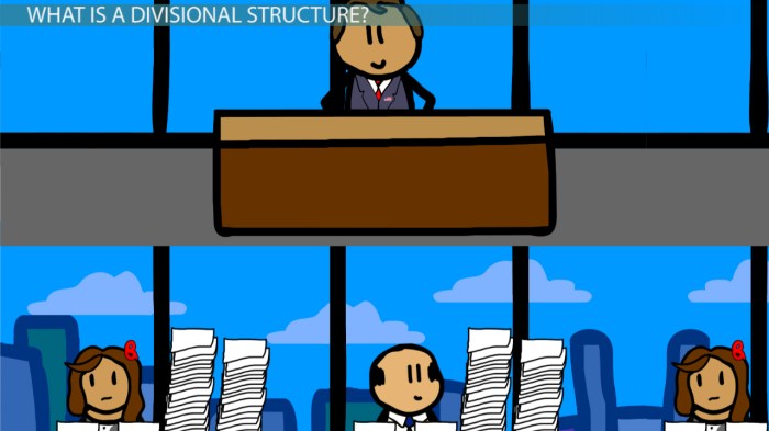 Contoh Struktur Organisasi Divisional