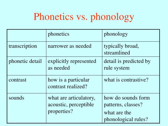 Contoh Fonetik Dan Fonemik