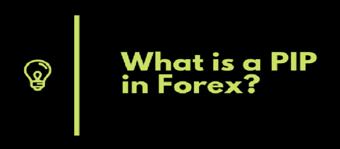 Nilai 1 Pip Forex 2025