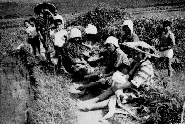 Kerja Paksa Pada Masa Jepang Disebut 2025