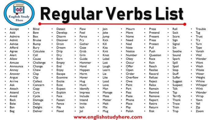Kata Kerja Regular Verb 2025