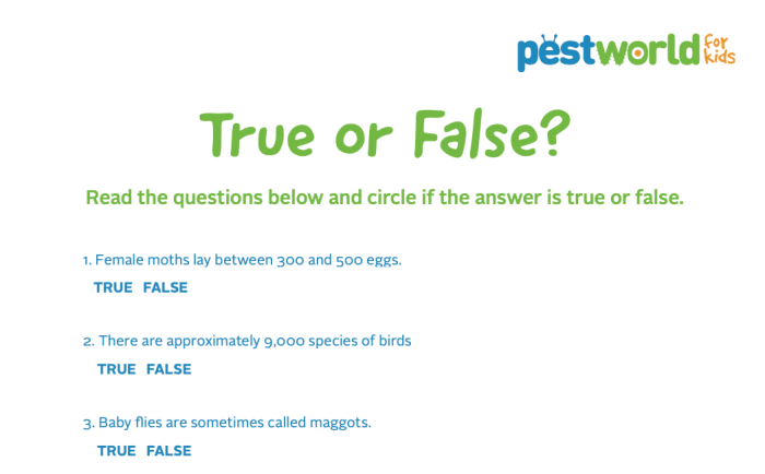Contoh Soal True False Bahasa Indonesia