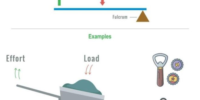 Levers class lever examples example everyday some here wheelbarrow