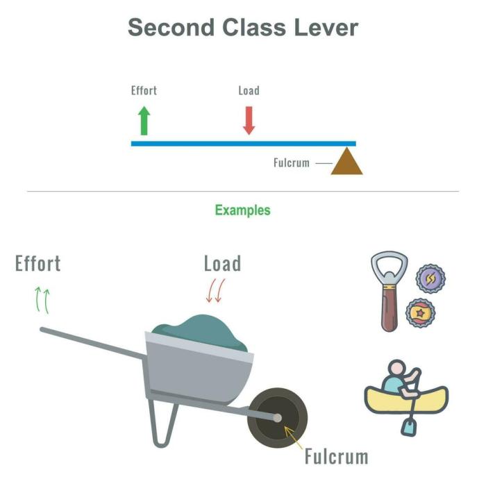 Levers class lever examples example everyday some here wheelbarrow Levers class lever examples example everyday some here wheelbarrow