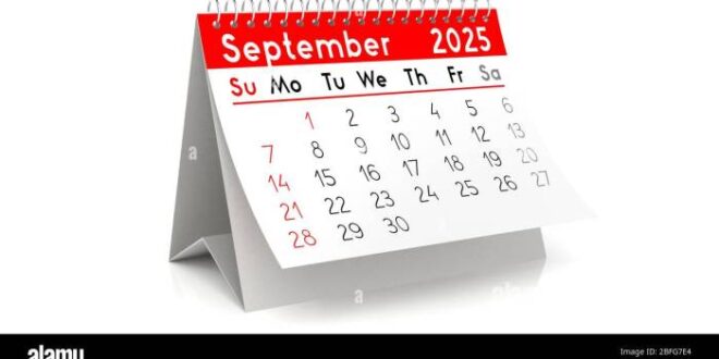 Contoh Tabel Koperasi Simpan Pinjam 2025