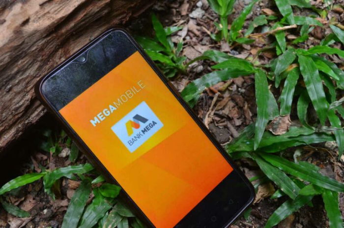 Tabel Pinjaman Mega Finance 2025