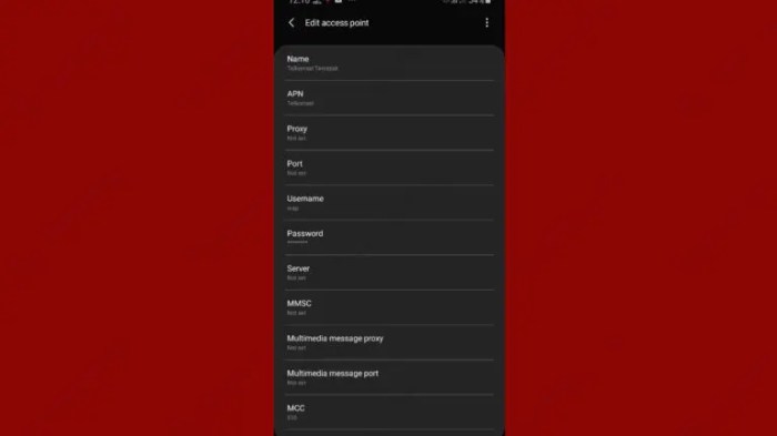 Apn Telkomsel 2025