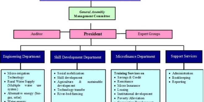 Structure organizational