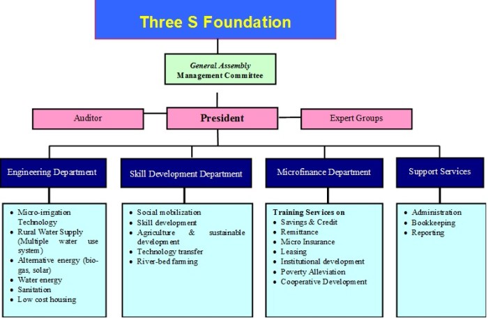 Structure organizational Structure organizational