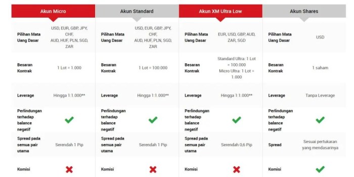 Akun Mikro Forex 2025