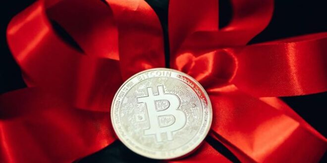 Indikator Forex Terbaik 2025