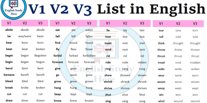Kata Kerja V1 V2 V3 2025