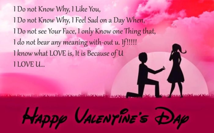 Kata Kata Ucapan Valentine Buat Pacar 2025