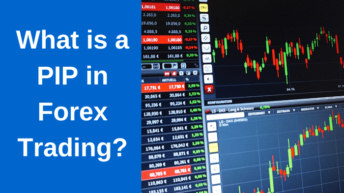 Apa Itu Pips Dalam Forex 2025